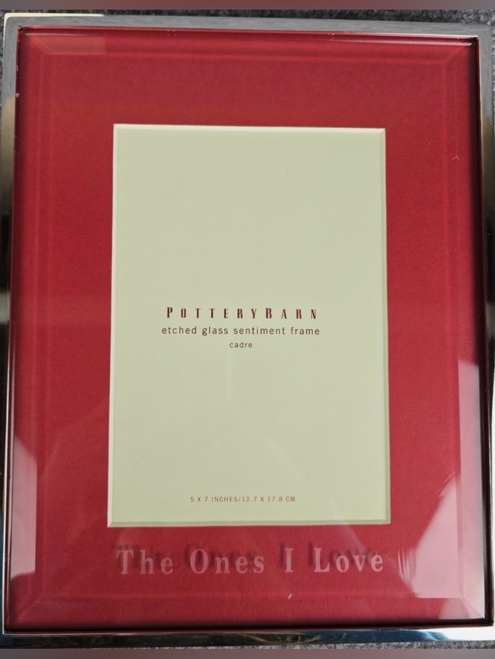 Pottery Barn The Ones I Love Etched Frame
